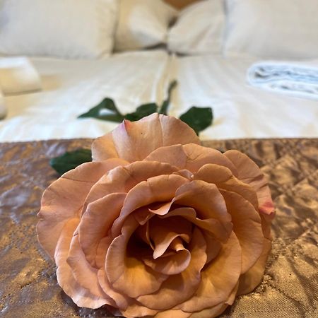 בודפשט Hotel Rose City מראה חיצוני תמונה