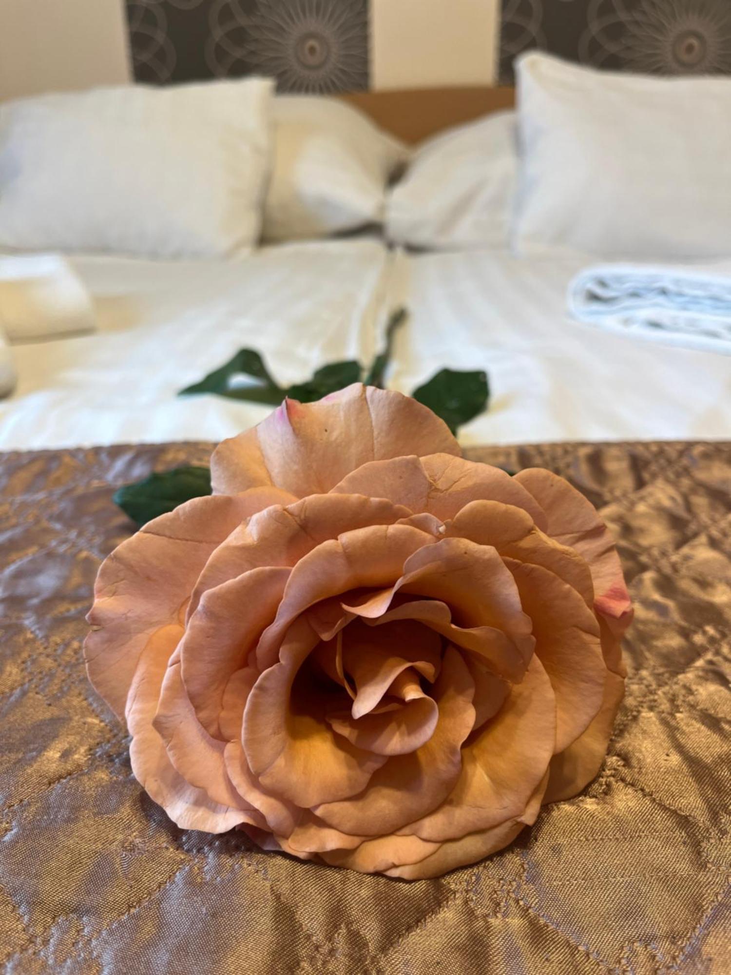 בודפשט Hotel Rose City מראה חיצוני תמונה
